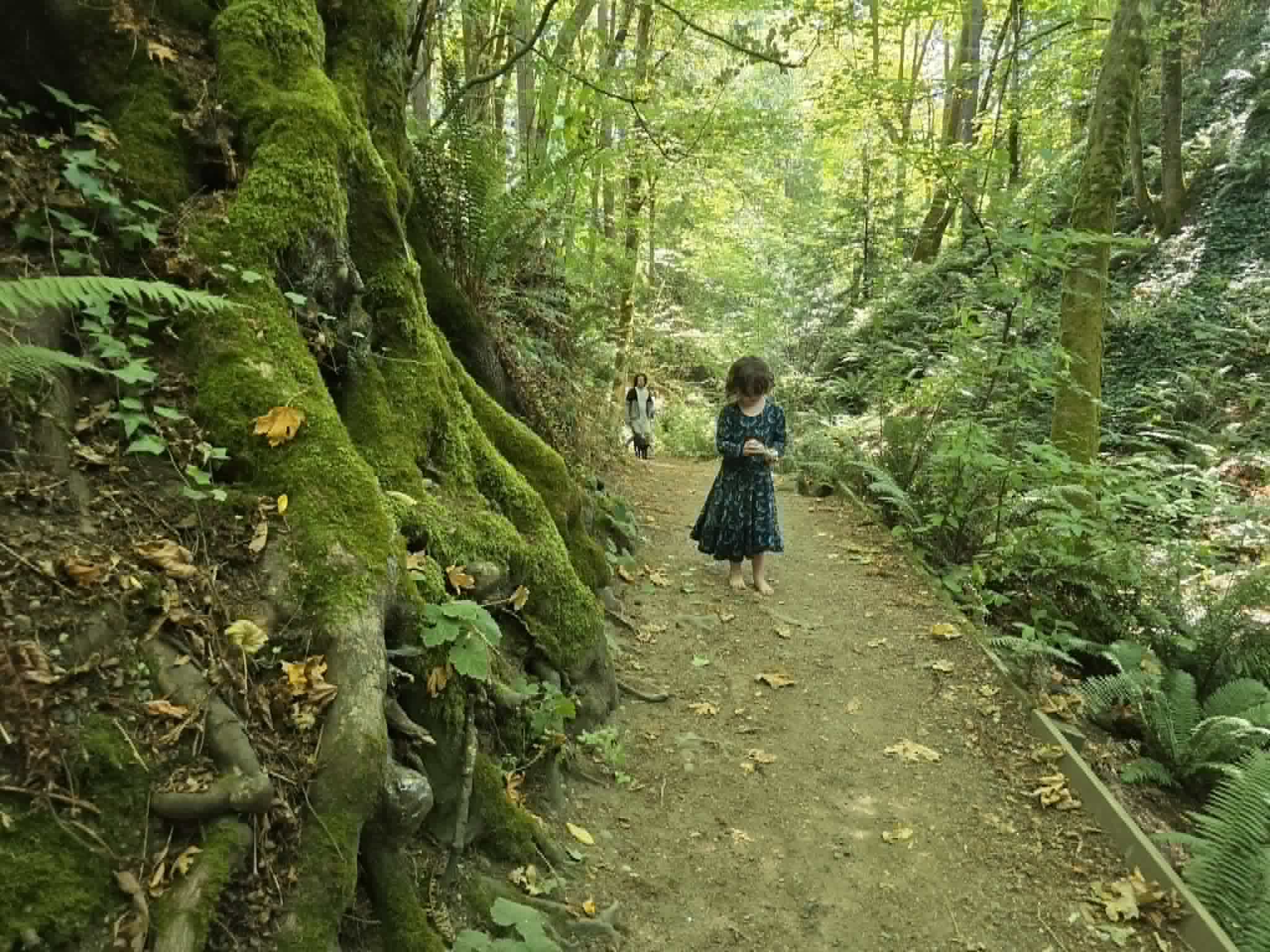 Child walking on a forest trail