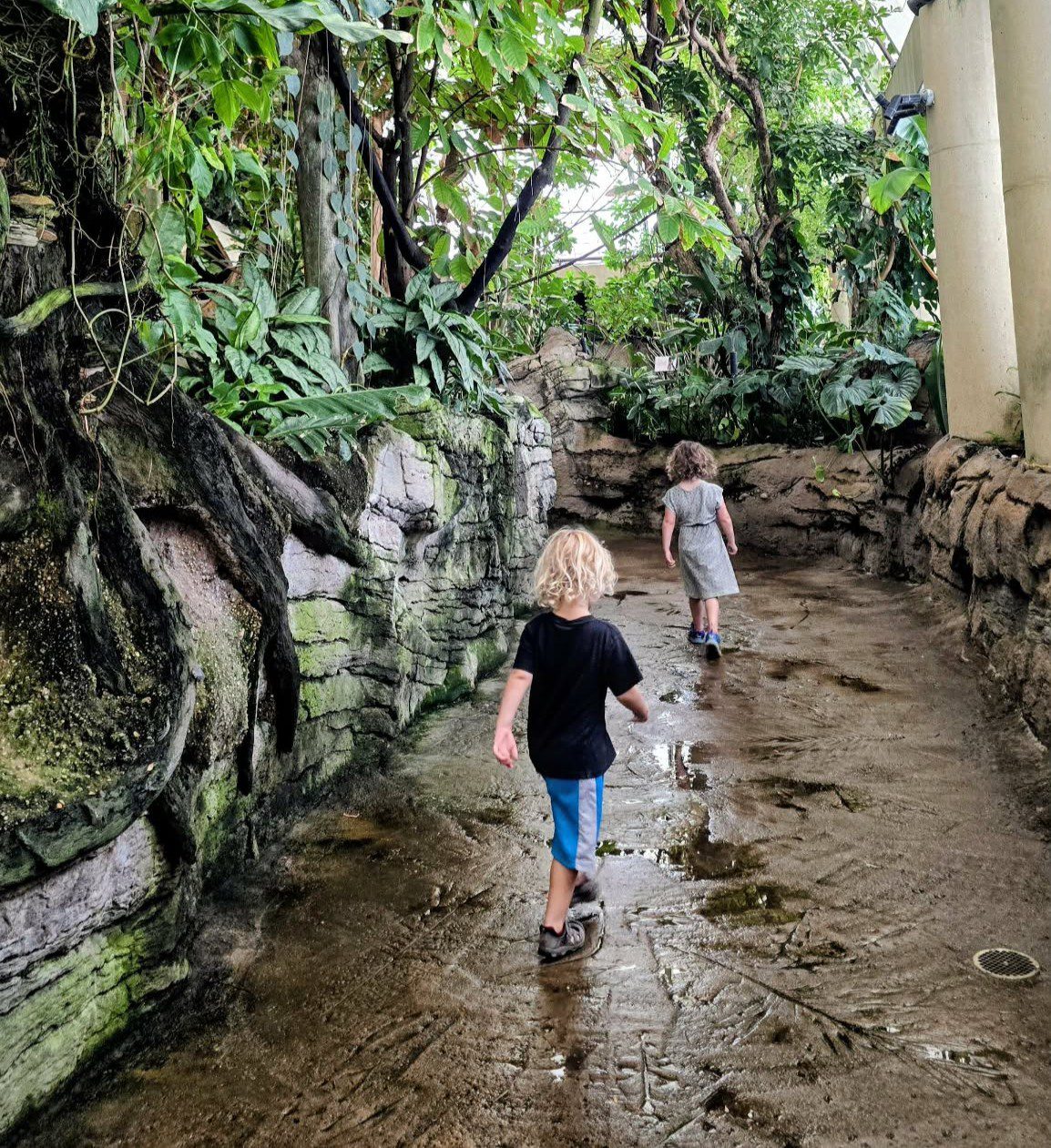 Kids walking